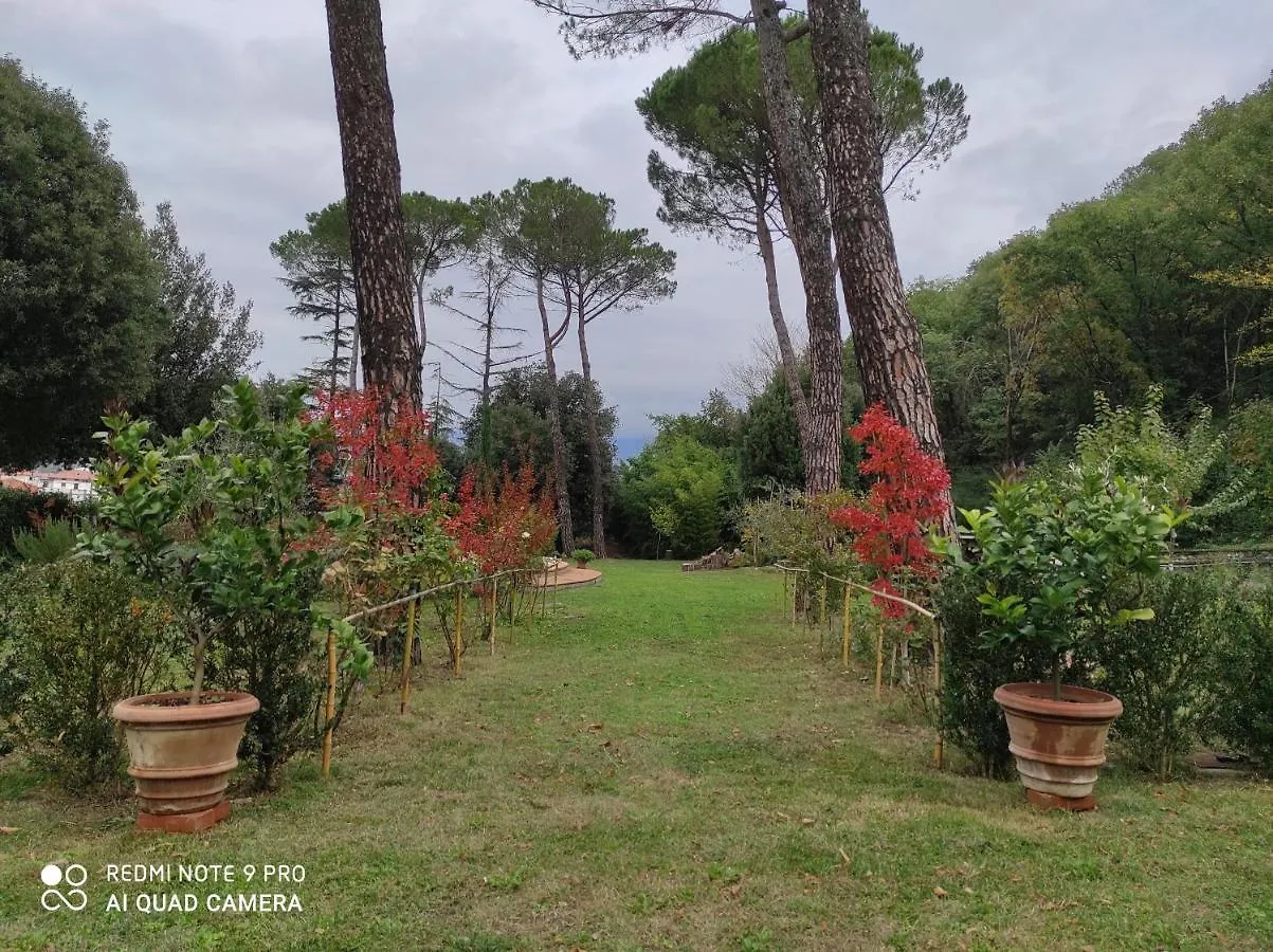 Gospodarstwo wiejskie Villa La Ginestra - Charming Country Home Capolona